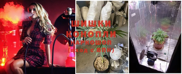 гидропоника Алзамай