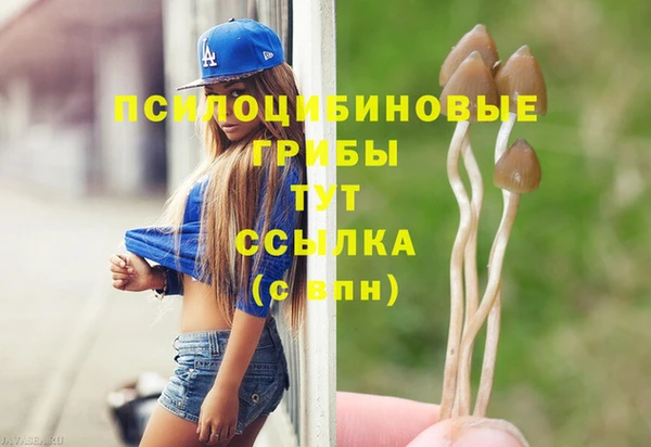 гидропоника Алзамай