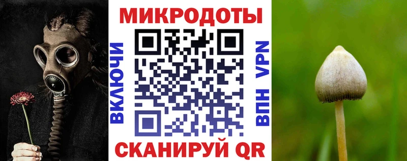 Псилоцибиновые грибы GOLDEN TEACHER Амурск